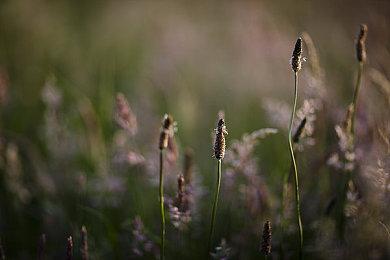 《未探索2：旅行者的遗产》现已发售 暂不支持中文